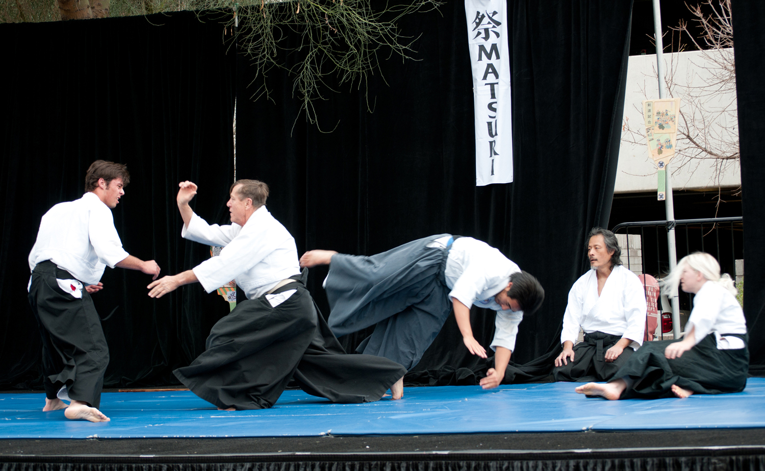 Matsuri 2011 Demonstration - Randori