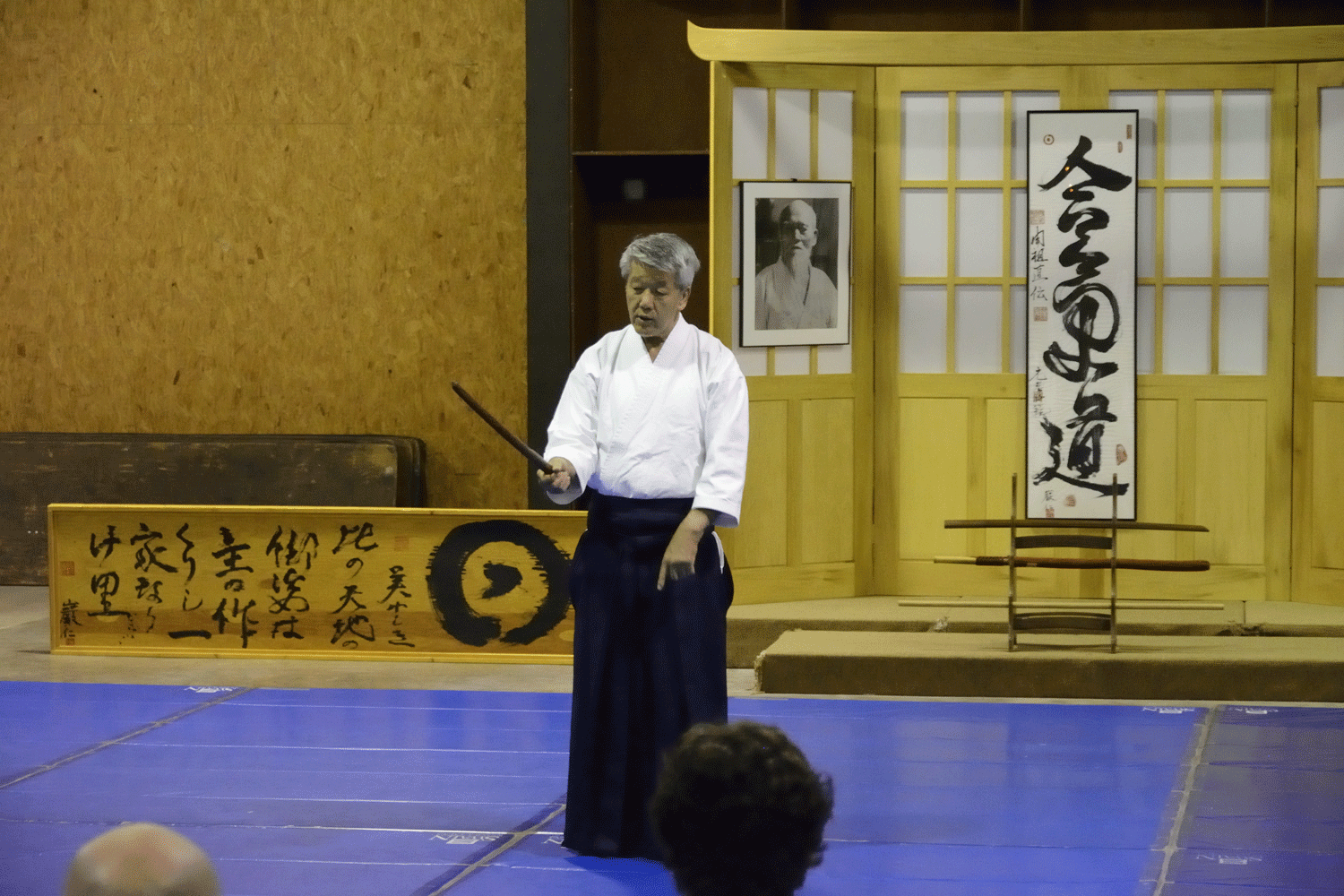 Hiroshi Ikeda Shihan - Fall Mountain Camp 2014