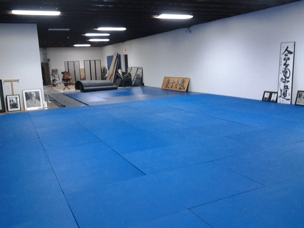 Mats Placed in New Dojo #1